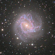 M 83 - Südliche Feuerrad-Galaxie